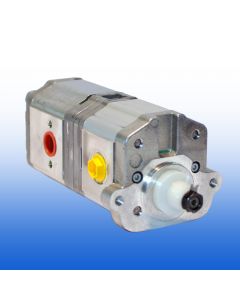 Pompa multipla Turolla/Danfoss Cod.181.20.B35.00